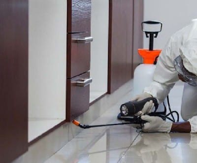 Protection & Effectiveness